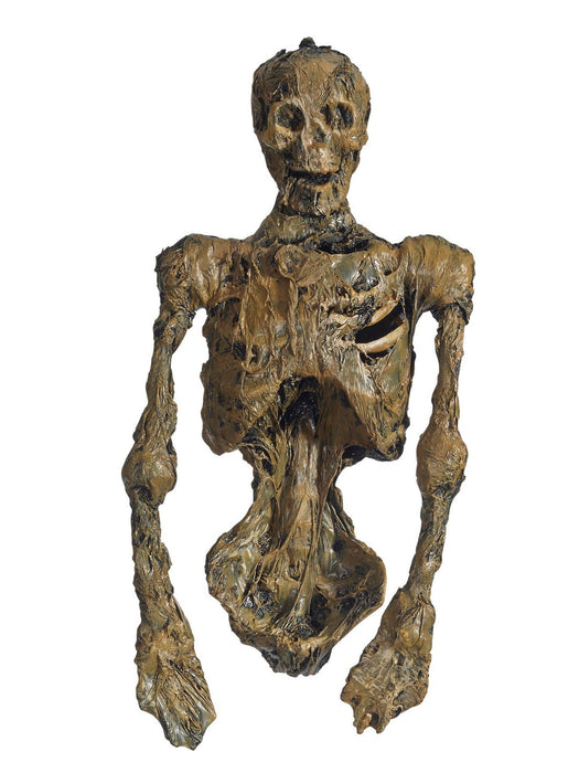 Rotten Skeleton Torso20"
